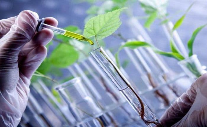 Green and Biobased Solvents Market by Size, Share, Trends, Demand