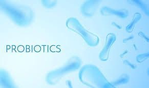 Probiotics Market Size, Share, by Product & Segmentation