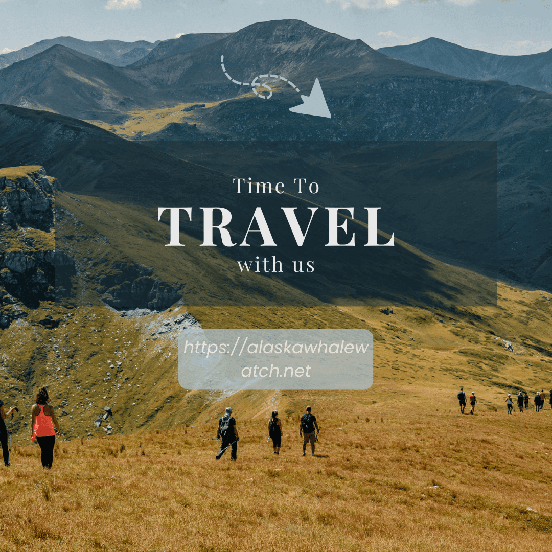 Anchorage vs Juneau: Comparing Whale Watching Tours