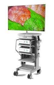 Hd Fluorescence Endoscopic System Market Size, Share, Growth 2028