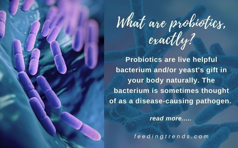 Health Edges Of Taking Probiotics