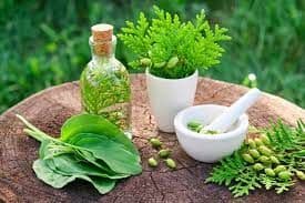 Herbal Supplement and Remedies Market Forecast Report to 2028