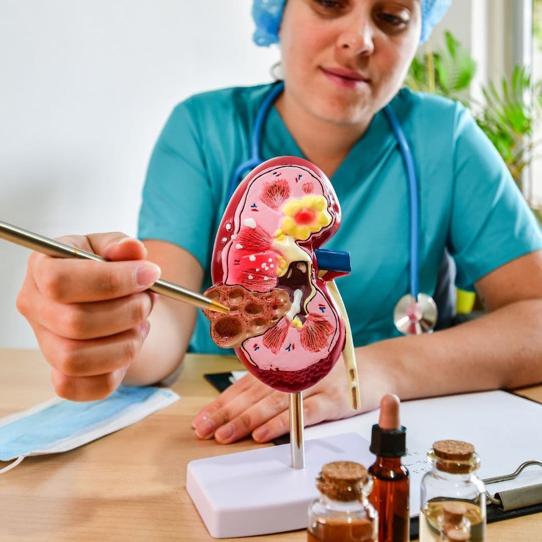 The Role of Immunotherapy Kidney Cancer Treatment