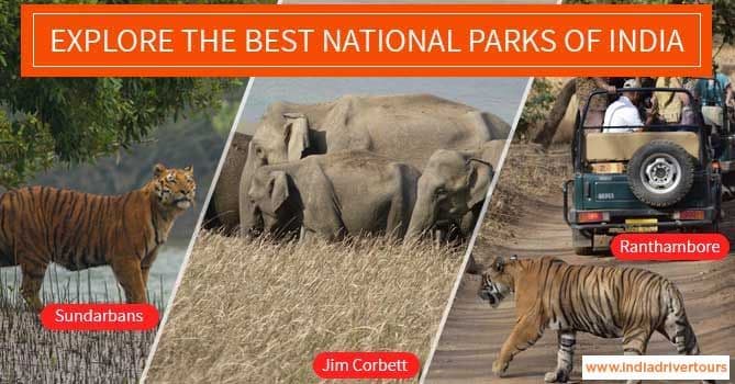 India's Most Famous National Parks That You Must Visit