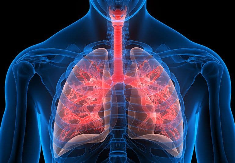 Infectious Respiratory Disease Diagnostics Market 2022 Players