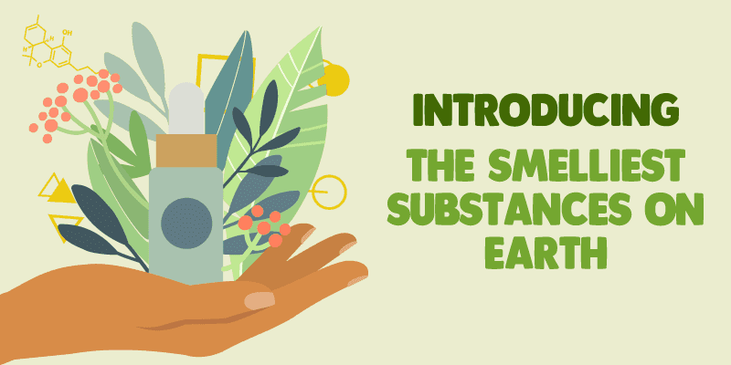 Introducing The Smelliest Substances On Earth