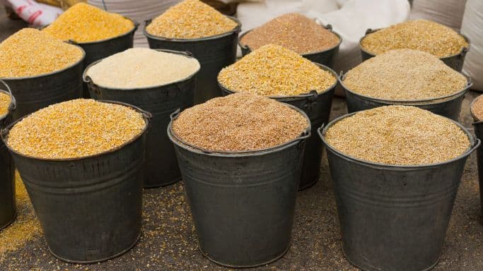 Latin America Animal Feed Market 2022-27: Trends, Analysis Report