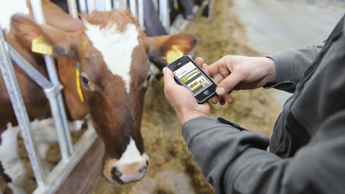Livestock Monitoring Market Share, Size, Trends, Analysis Report