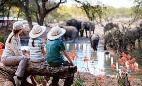 Making Memorable African Adventures With Families