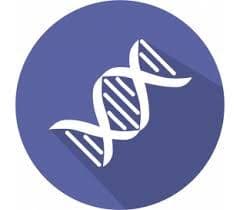 Meat Species Identification Kits Market Size, Growth & Forecast