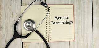 Medical Terminology Software Market Size, Share - Industry Report