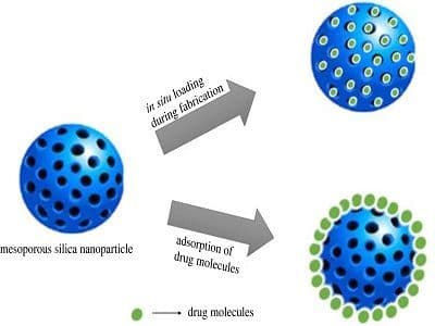 Mesoporous Silica Nanoparticles Drugs Market With Cagr of 8.2%.