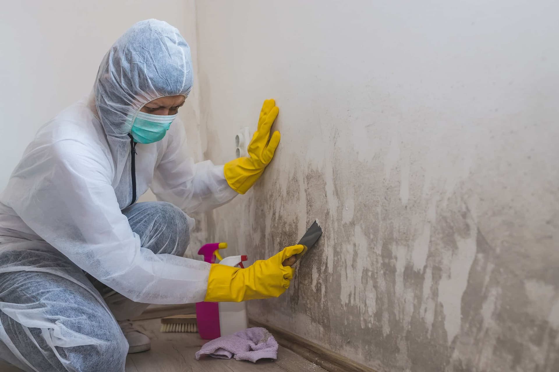 The Science Behind Mold Inspection and Testing Methods