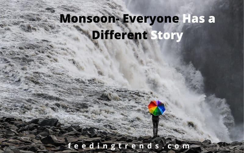 Monsoon- Everyone Has a Different Story