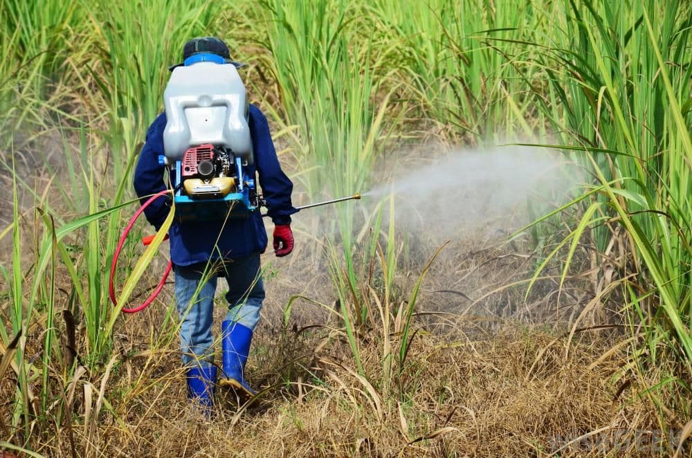 Non Selective Herbicides Market Report 2021-2028 | Latest Trend