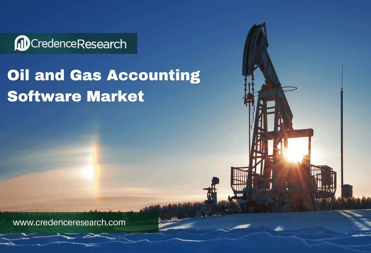 Oil and Gas Accounting Software Market Size and Forecast to 2030