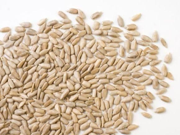 Packaged Sunflower Seeds Market Size, Overview & Forecast 2028