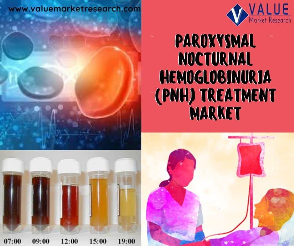 Paroxysmal Nocturnal Hemoglobinuria (Pnh) Treatment Market Share