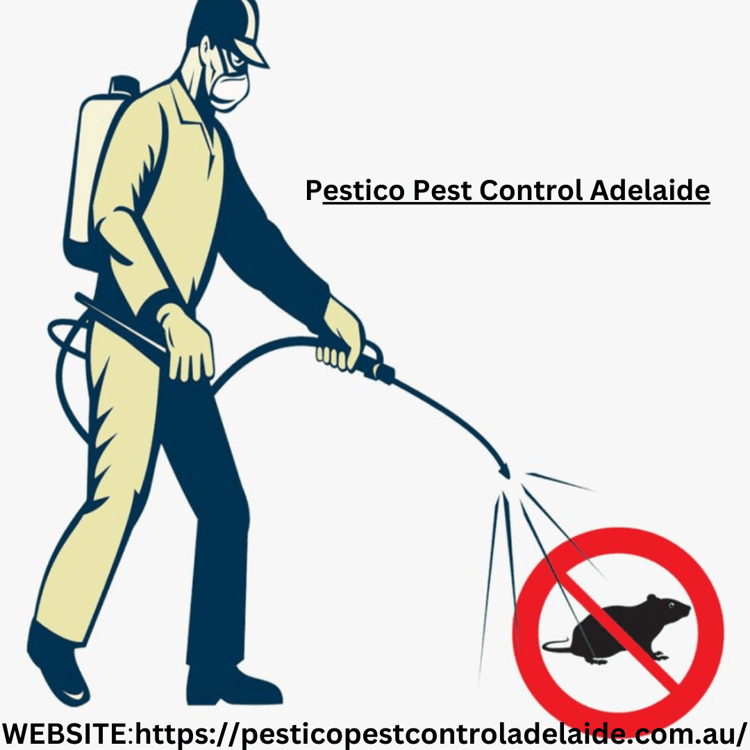 How to Choose the Best Pest Control Company