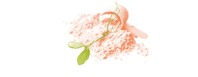 Plant Based Protein Supplements Market Growth | Research Report