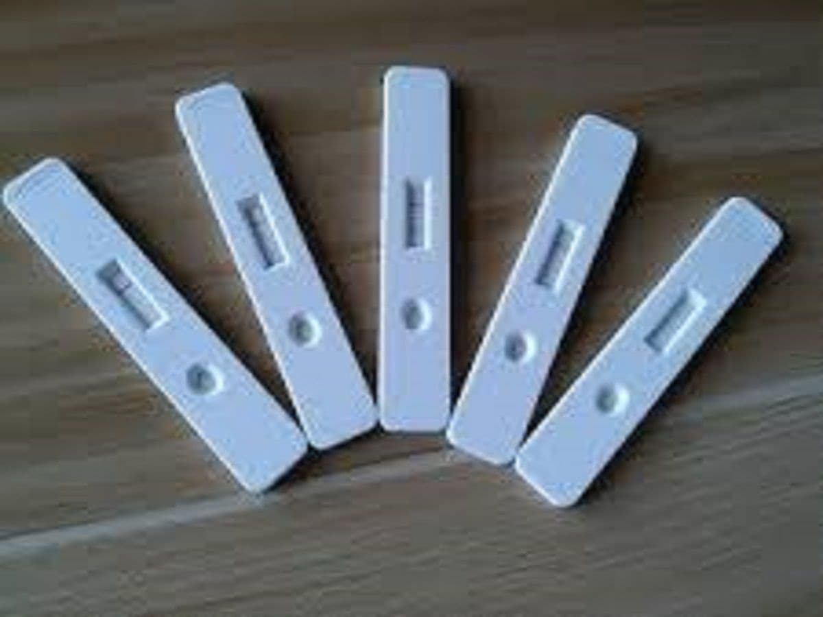 Procalcitonin Rapid Test Kit Market Opportunities, Analysis