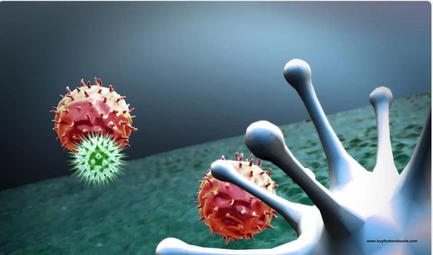 Covid-19: Deaths Sank Steeply in 2023.