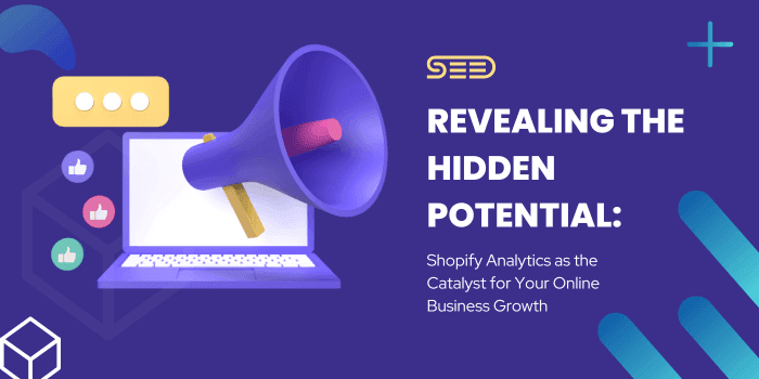 Shopify Analytics as the Catalyst for Your Online Business Growth