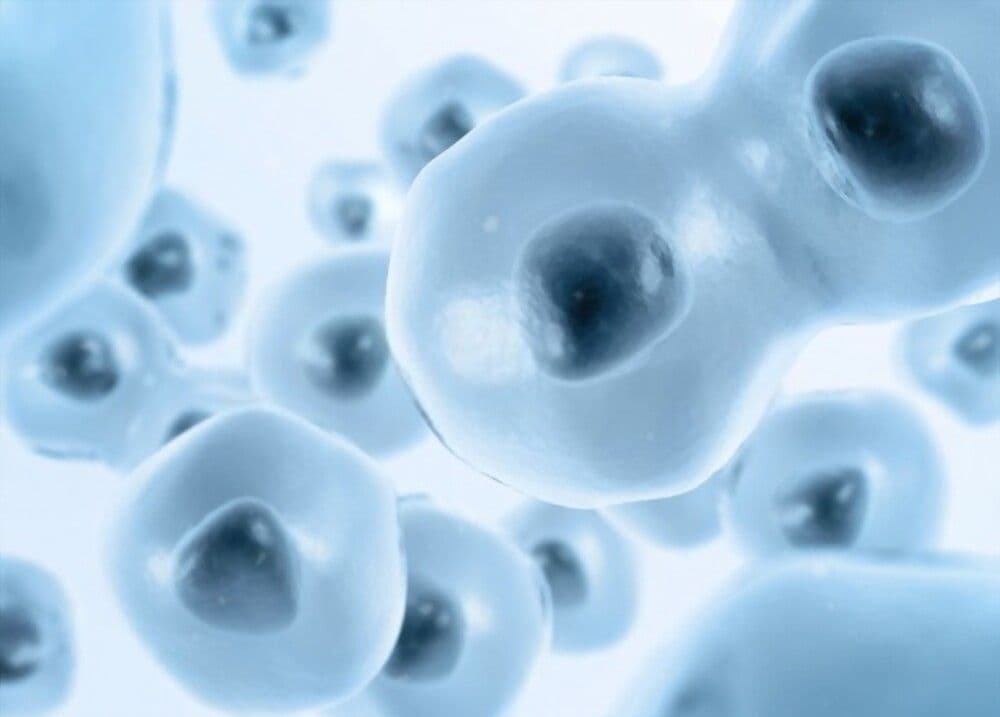 Saudi Arabia Membrane Separation Technology Market Growth 2028