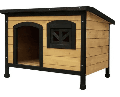 Outdoor Dog Kennels 101: A Complete Buyer's Guide