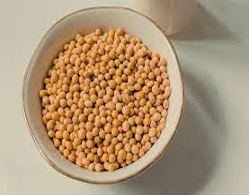 Soy Lecithin Market Evolution From Concept to Global Impact