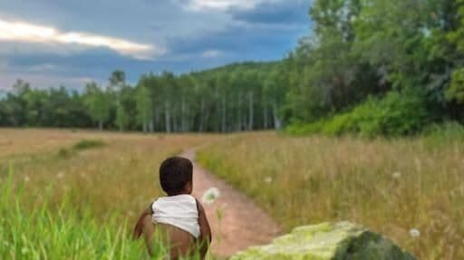 Steps Towards Achieving Odf (Open Defecation Free)