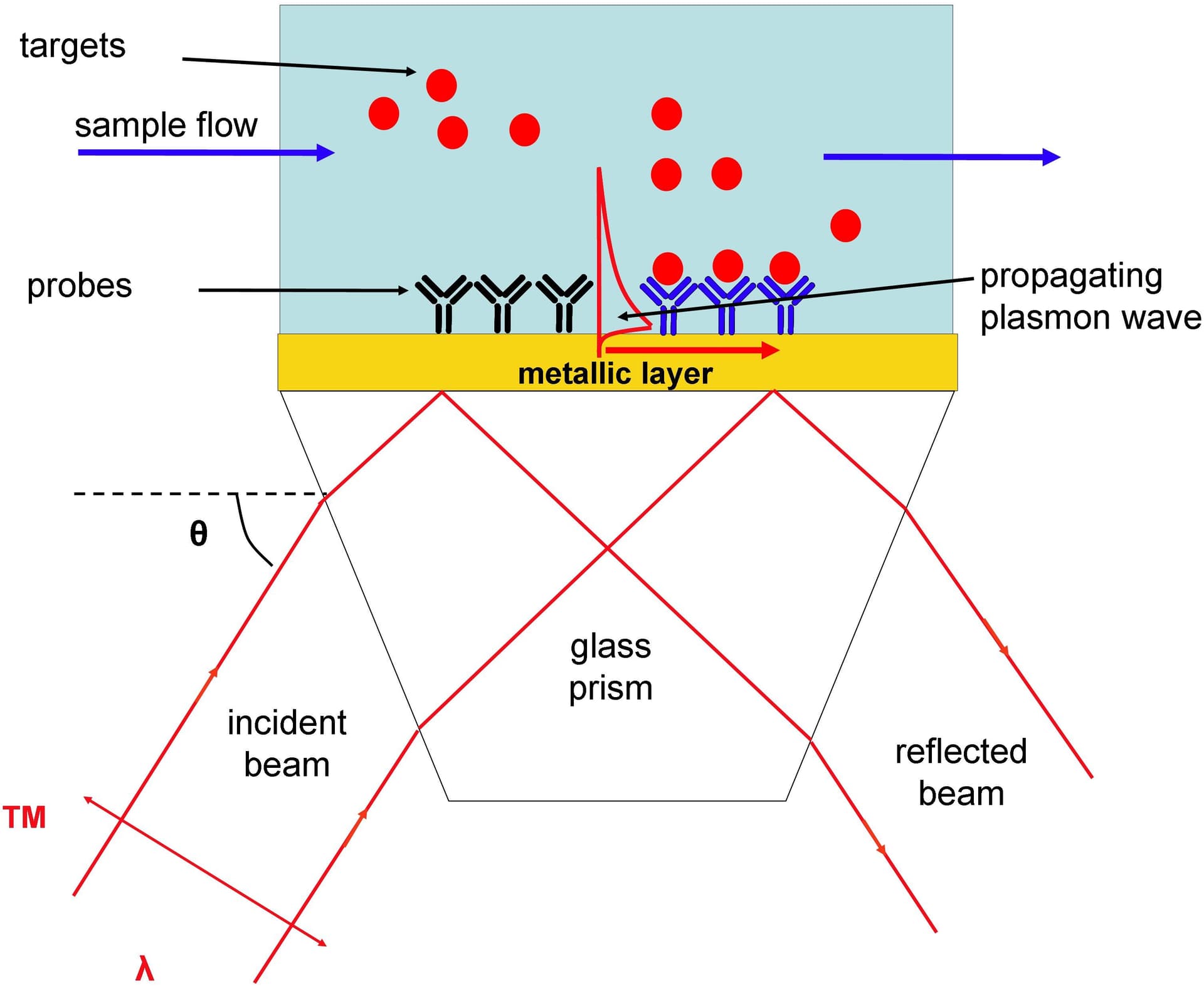 Surface Plasmon Resonance Market Outlook Report Upto 2028