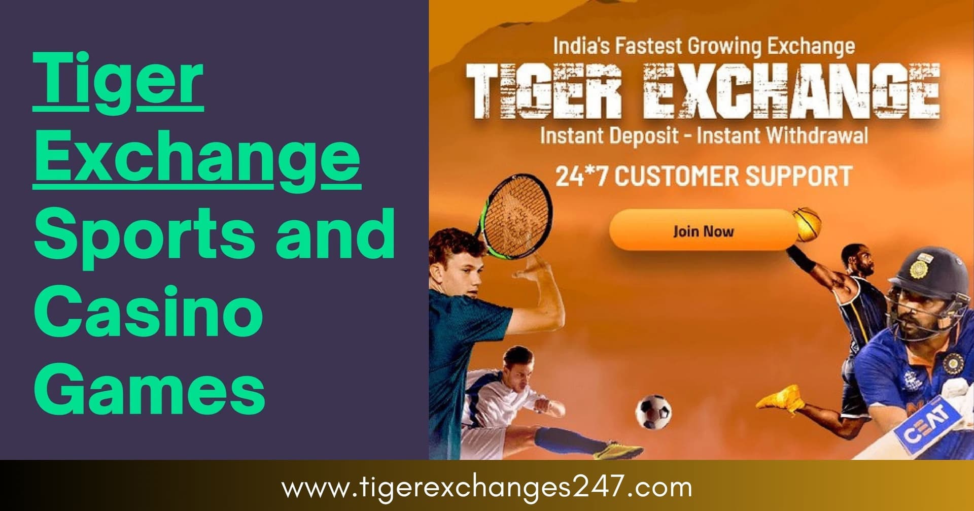 From Cricket World Cup 2023 to Your Screen: The Power of Digital Integration with Tiger Exchanges247
