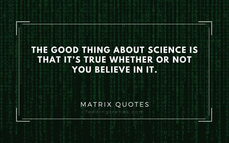 45 Matrix Quotes to Know More About Science and Reality