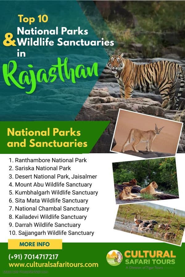 Top 10 Wildlife Sanctuaries in Rajasthan for a Wildlife Adventure