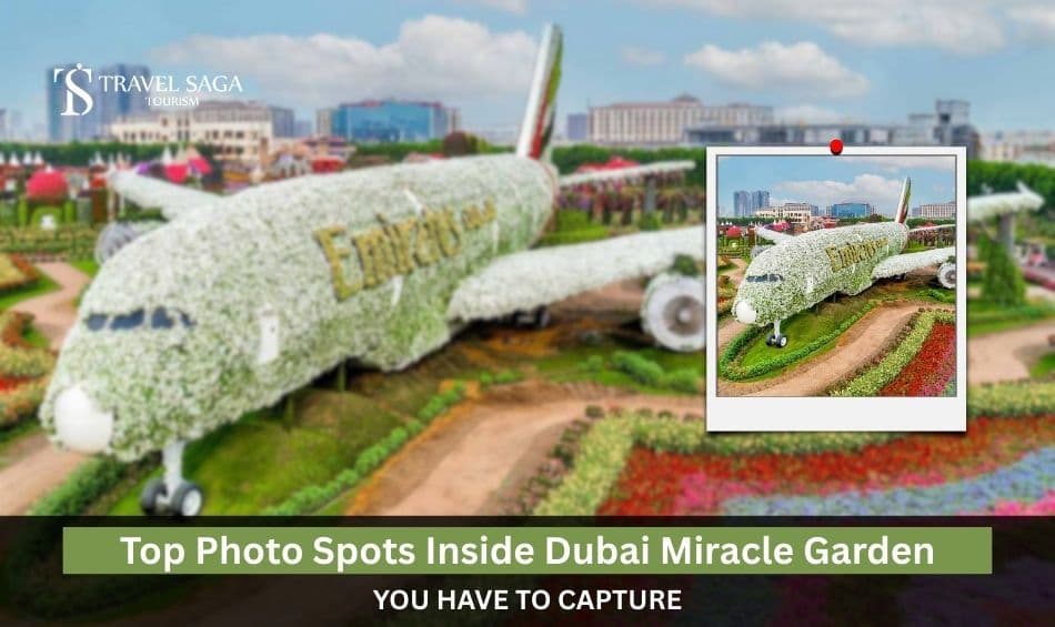 Top Photo Spots Inside Dubai Miracle Garden You Have to Capture