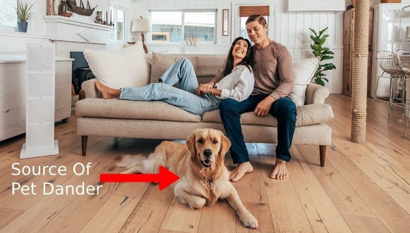 Top-Rated True Hepa Air Purifiers for Pet Dander Allergies 2023