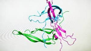 Transport Protein Assays Kits Market Size, Share, Growth