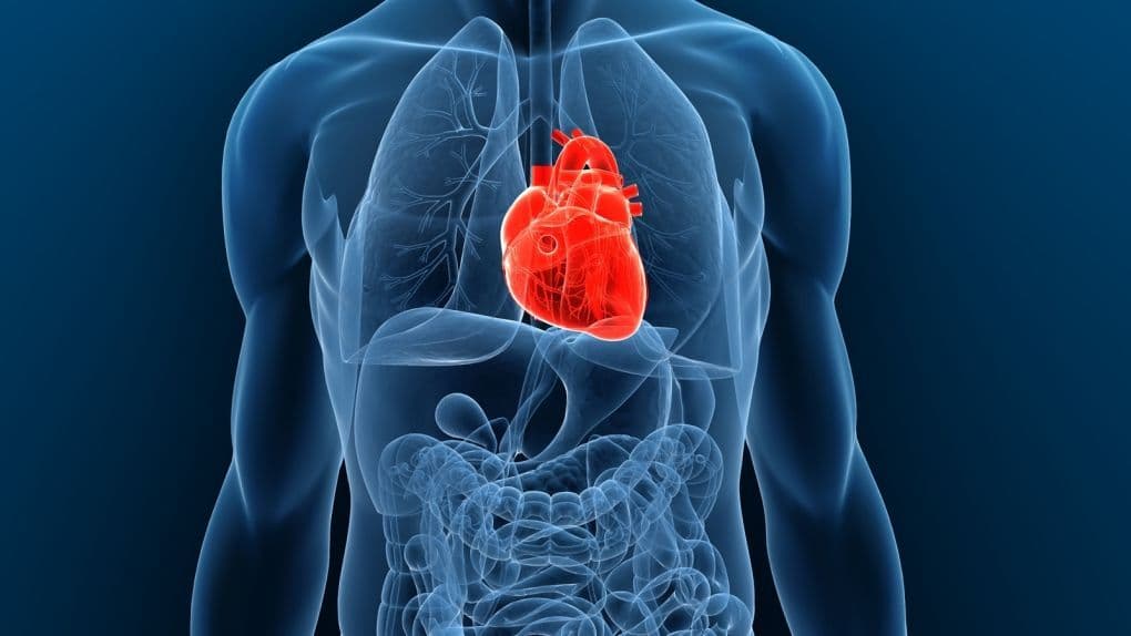 Transthyretin Amyloidosis Treatment Market Regional Overview 2028