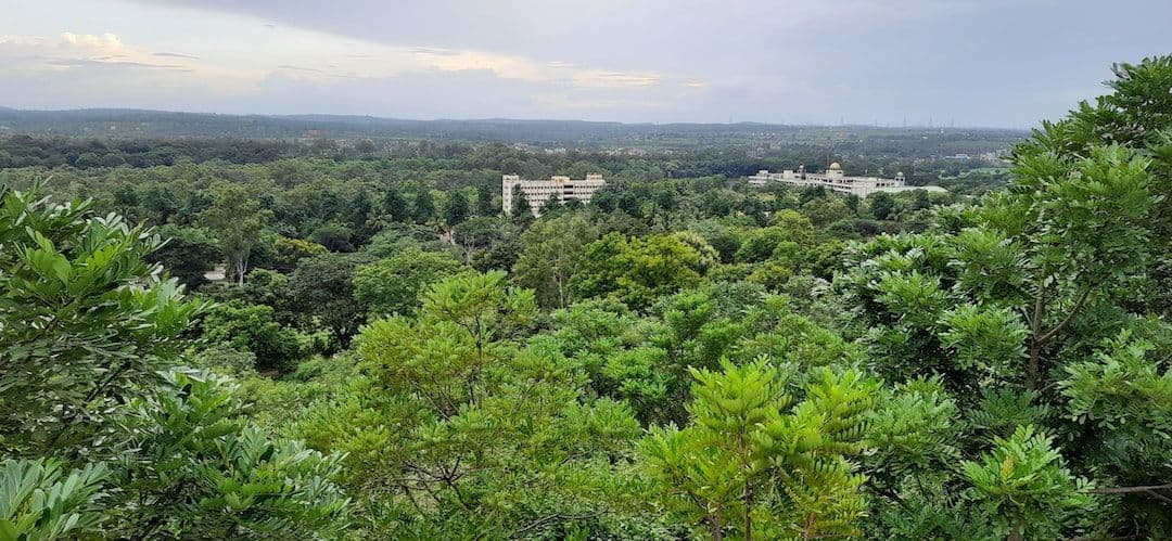 Predicted Growth for Global Agricultural Fumigants Market Size