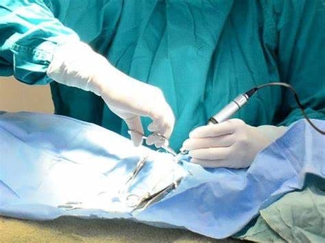 Veterinary Electrosurgery Market Analysis & Growth Outlook