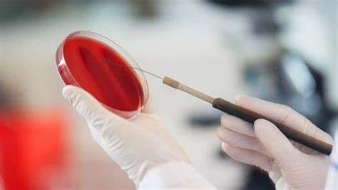 Veterinary Molecular Diagnostics Market Outlook 2028