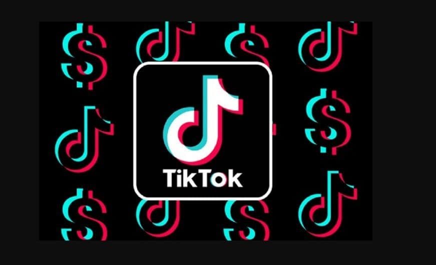 Quarsi Protik Review ⚠️ $543.14 Daily With Tiktok Full Details