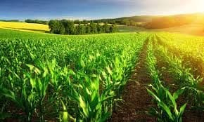 a Guide to Organic Farming Equipment