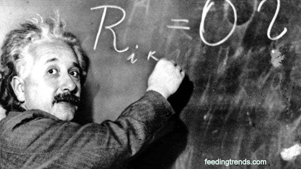 Albert Einstein'S Path To Winning Nobel Prize