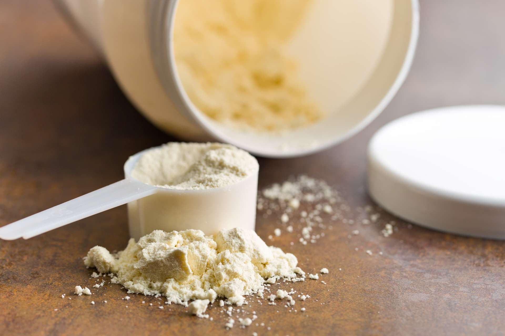 Protein Powder Market- Trends in Whey Protein Sport Supplements