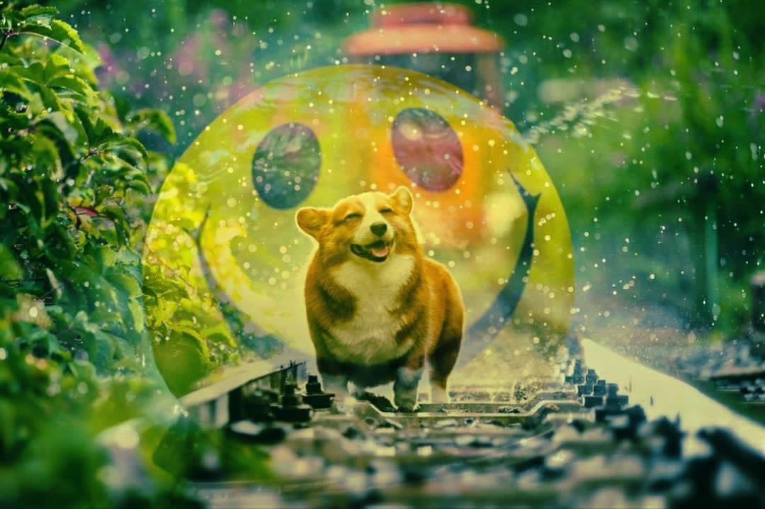 Beautiful, Beautiful, beautiful....