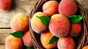 Can Dogs Eat Peaches: A Comprehensive Guide