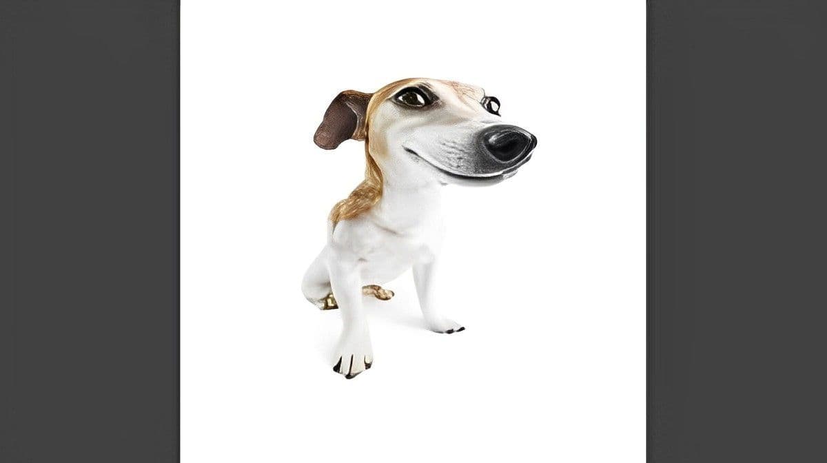 What the Dog Doin / What the Dog Doin Meaning