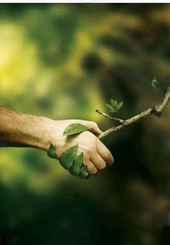 ਪਾਣੀ ਬਚਾਓ Written by Mandeep Khanpuri